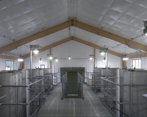 Doswell-WWTP-7