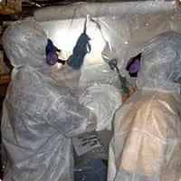 Environmental Services